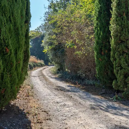 Cazal D'oliveira * Granja (Vialonga)