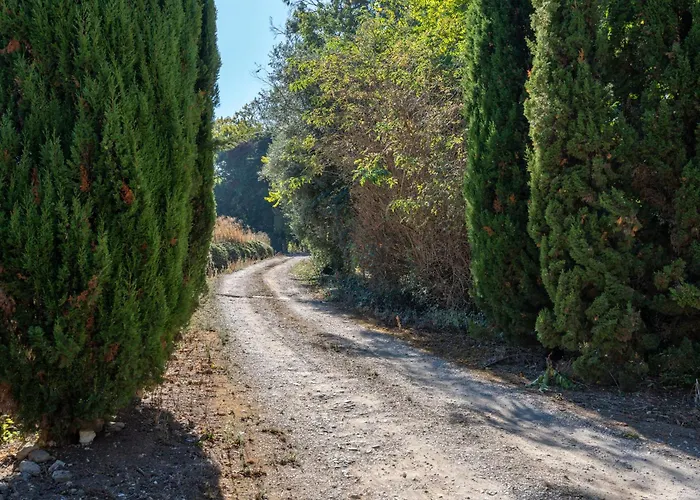 Cazal D'oliveira * Granja (Vialonga)